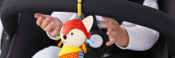 Stroller Toys & Accessories